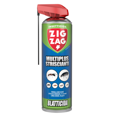 Zig Zag Insetticida Per Scarafaggi E Formiche