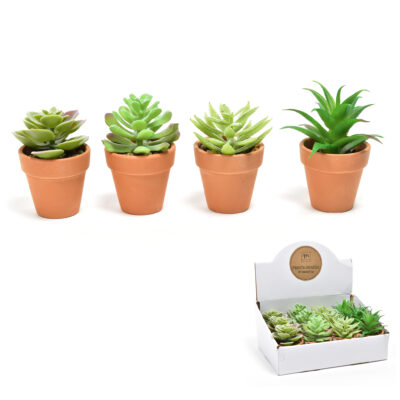 Piantina in vasetto di cemento diam 6XH.9 cm