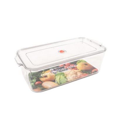 Contenitore Per Frigorifero Con Coperchio 33.5 X 16.5 X 10 cm
