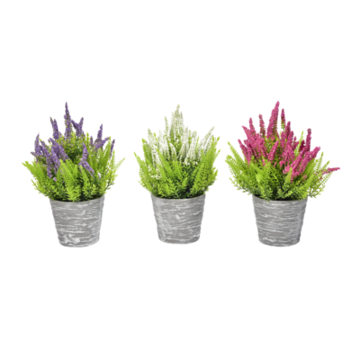 Lavanda In Vaso H22 cm Colori Assortiti