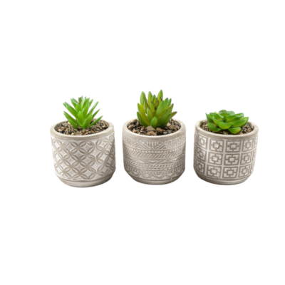 Piantina In Vaso Di Cemento D8.5 x H11 cm