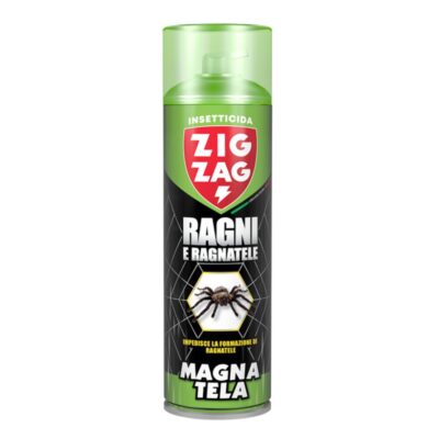 Ragni e Ragnatele Magnatela Zig Zag